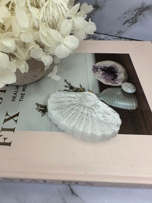 Selenite Shell